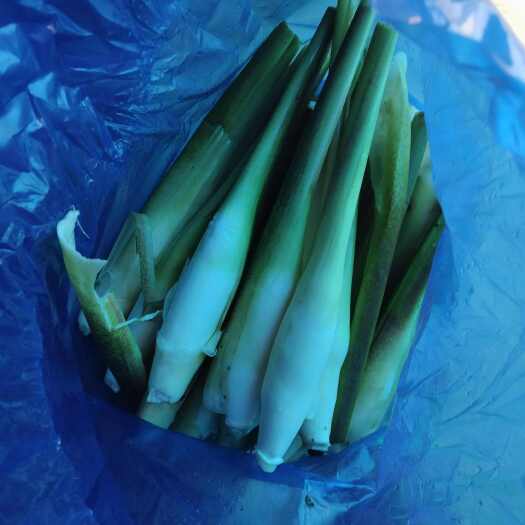汕头茭白，市场，电商平台用货可持续供应