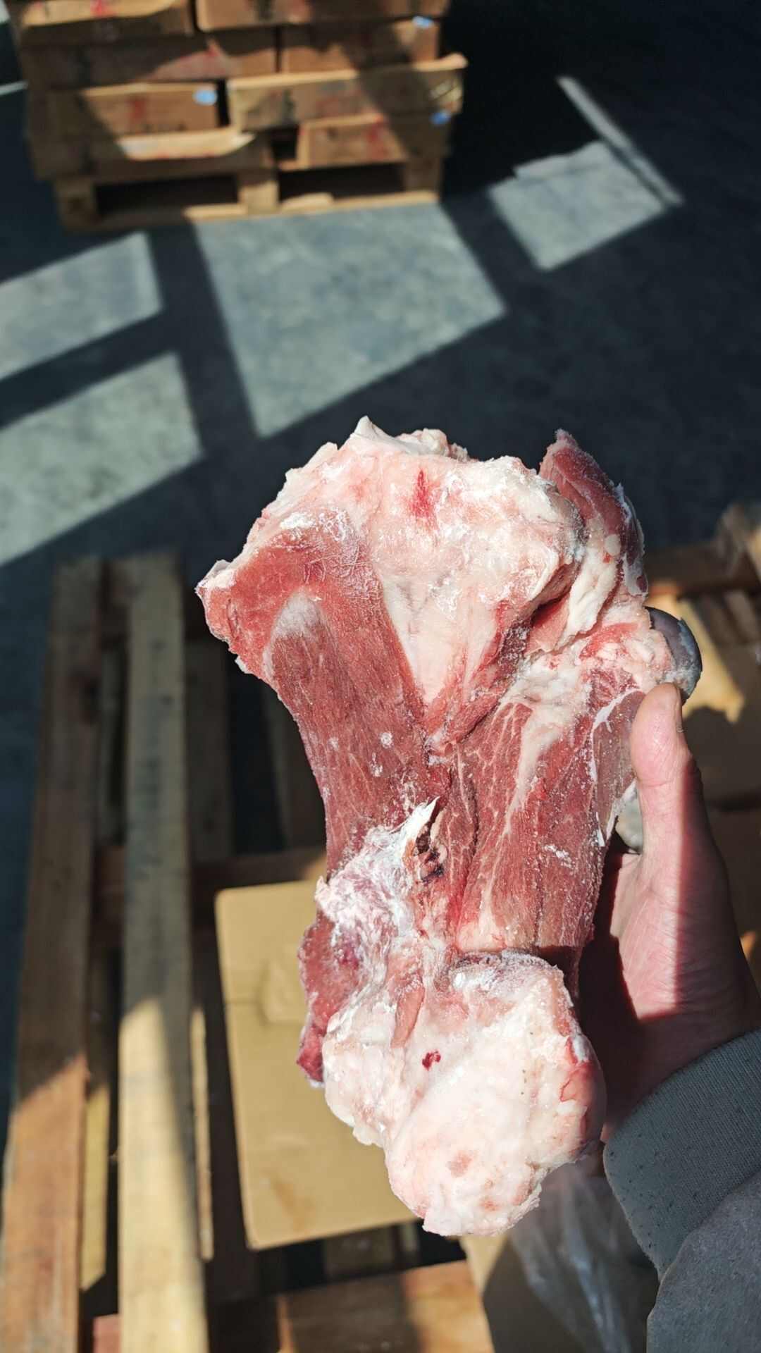 满肉后棒骨