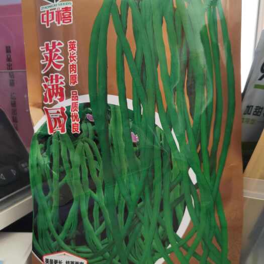 早熟不搭架无架豇豆种子中禧荚满园豆角种籽豇豆种籽