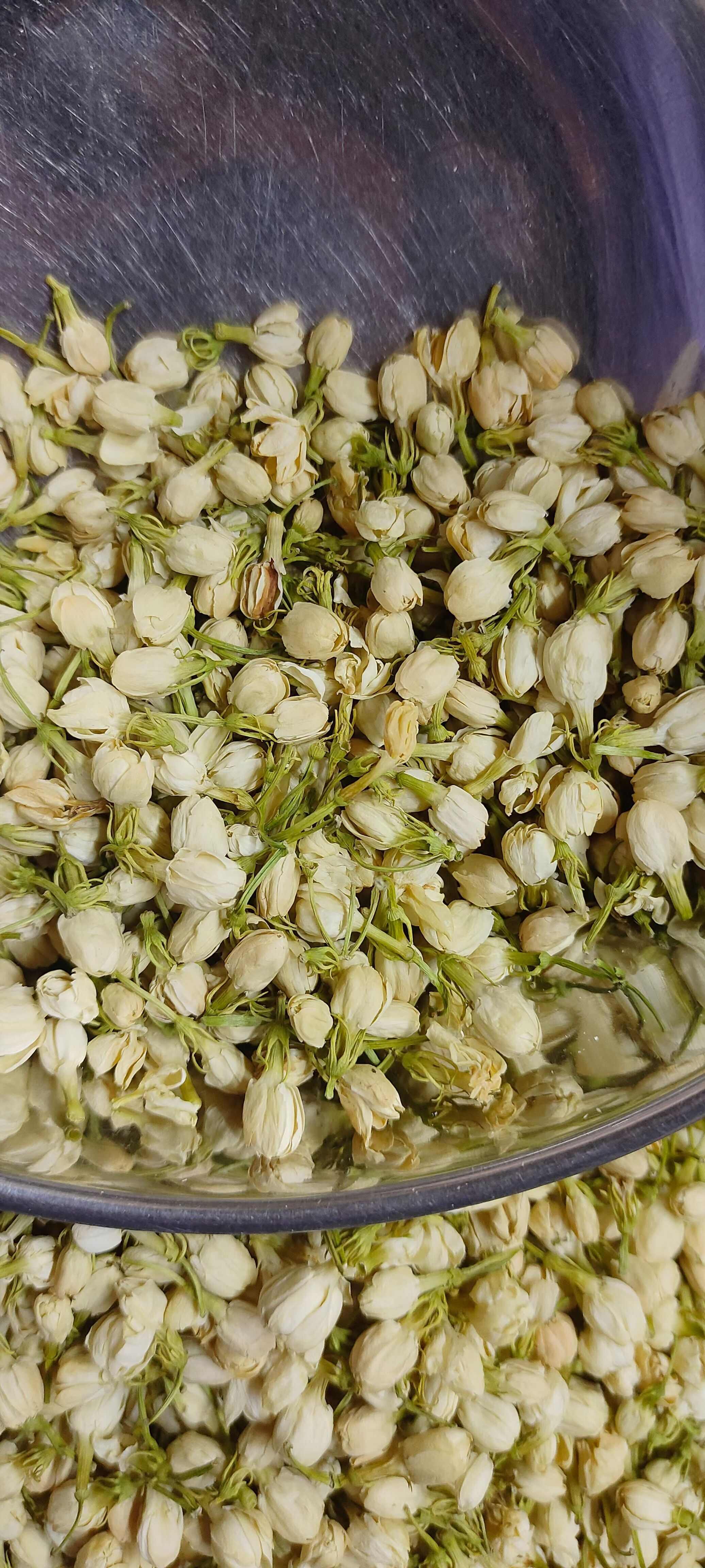 茉莉花