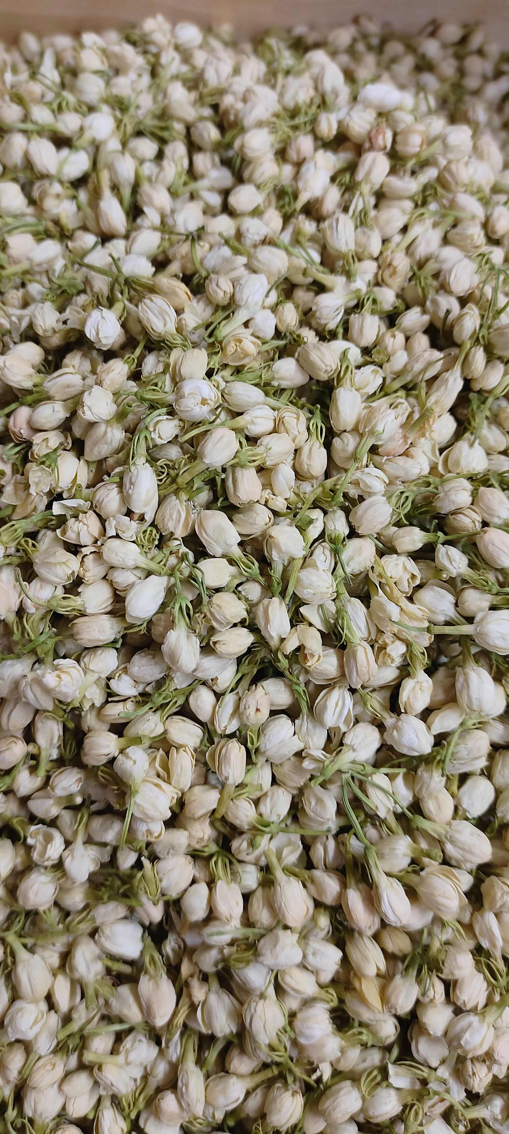 茉莉花