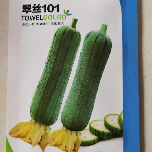欧蓝德翠丝101丝瓜种子瓜条均匀品质优良鲜嫩多汁坐瓜多丝瓜种