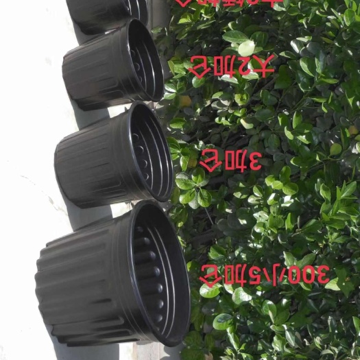 唐山加仑盆