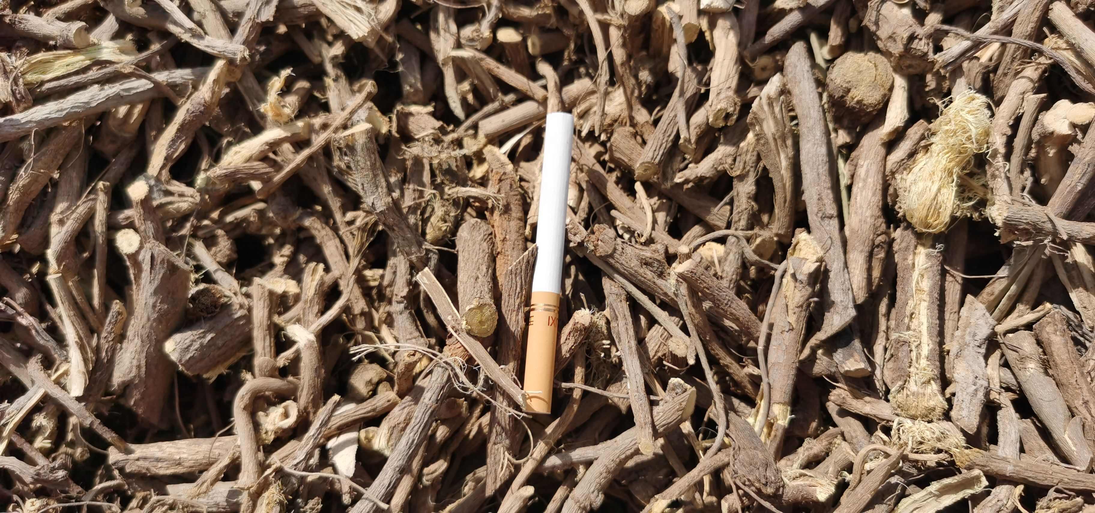 甘草切段/光果甘草/短节草/