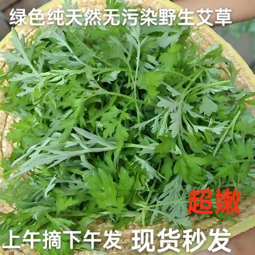 通城县艾草清明团小叶艾草
