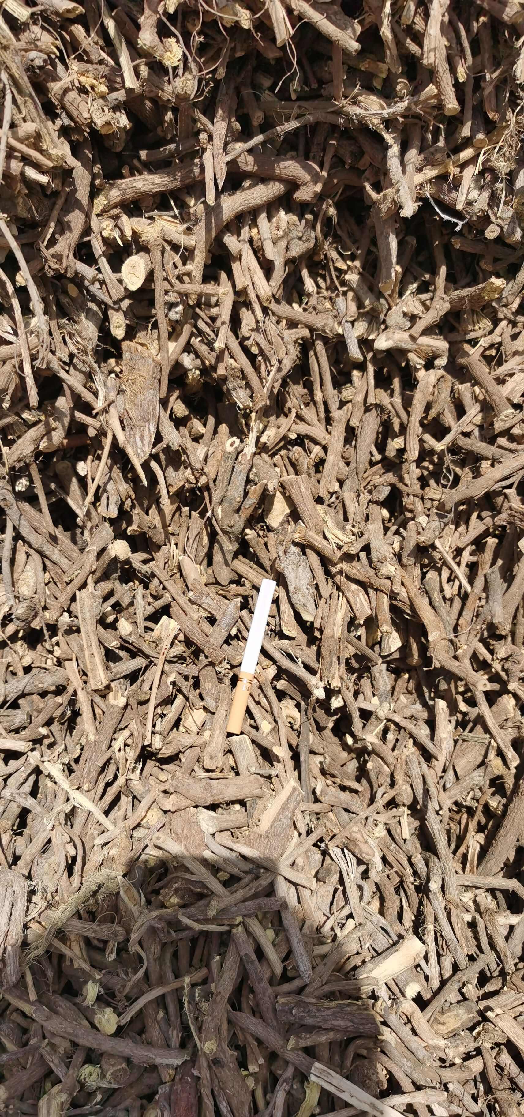 甘草切段/光果甘草/短节草/