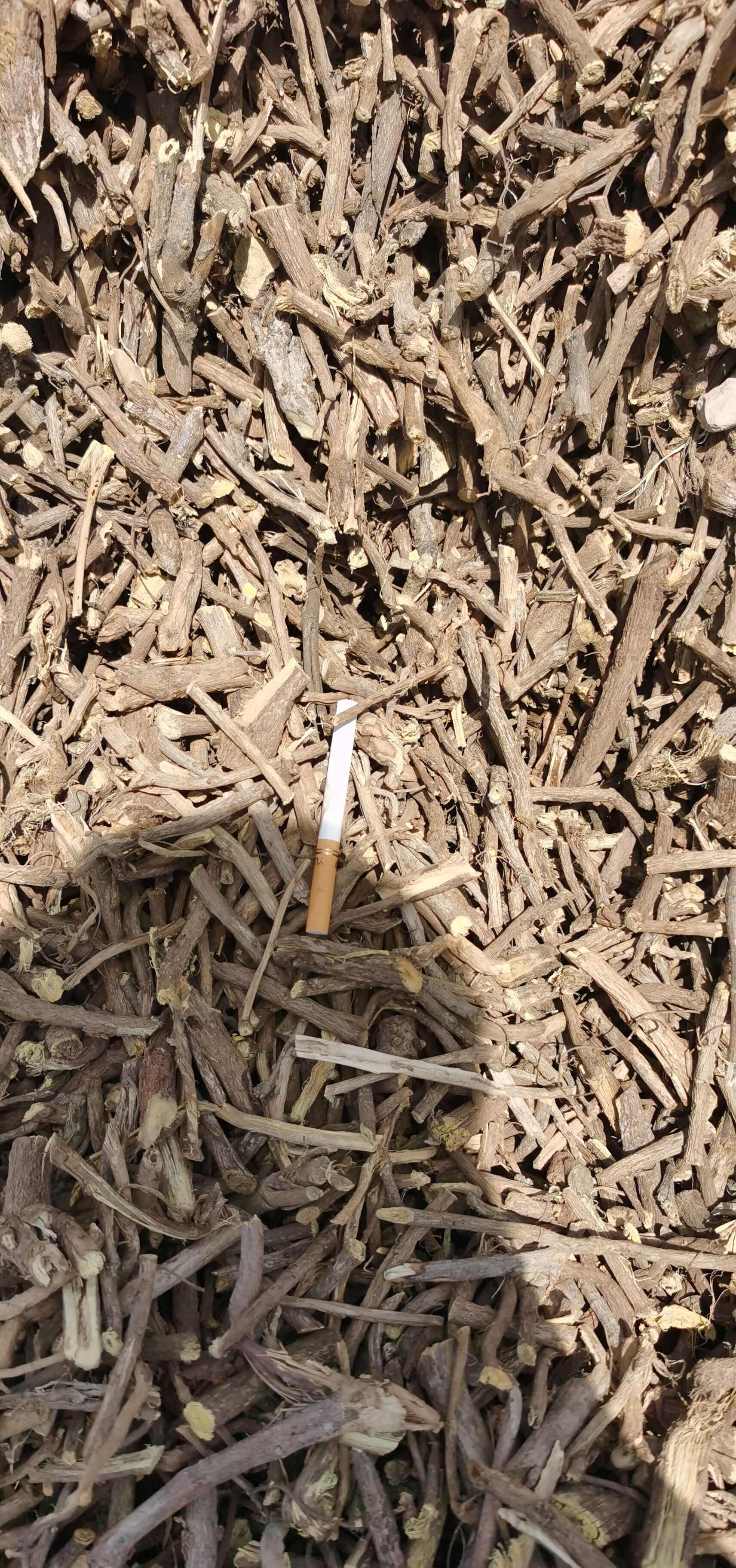 甘草切段/光果甘草/短节草/