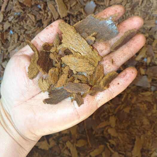 洞口县熟榨油菜籽油枯