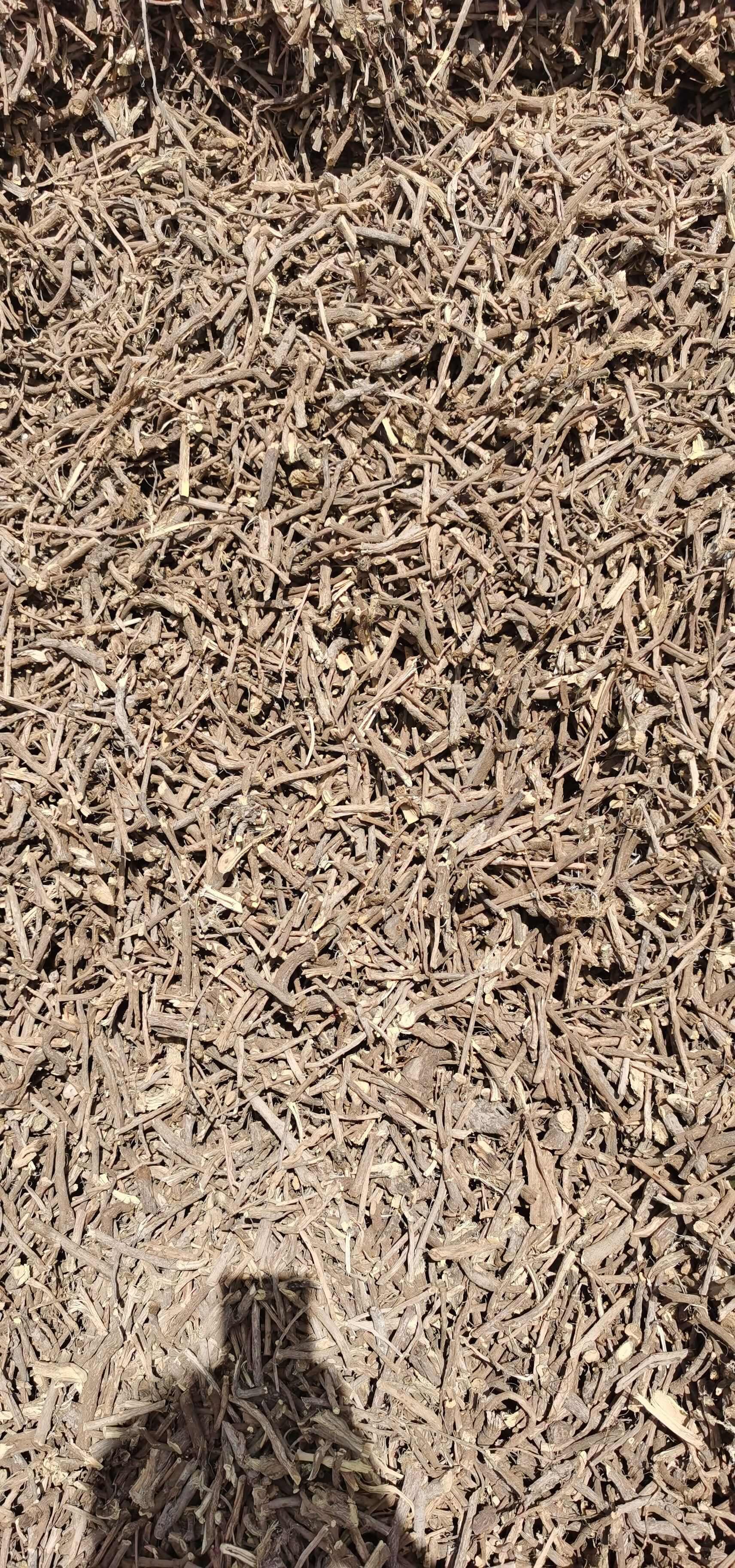 甘草切段/光果甘草/短节草/