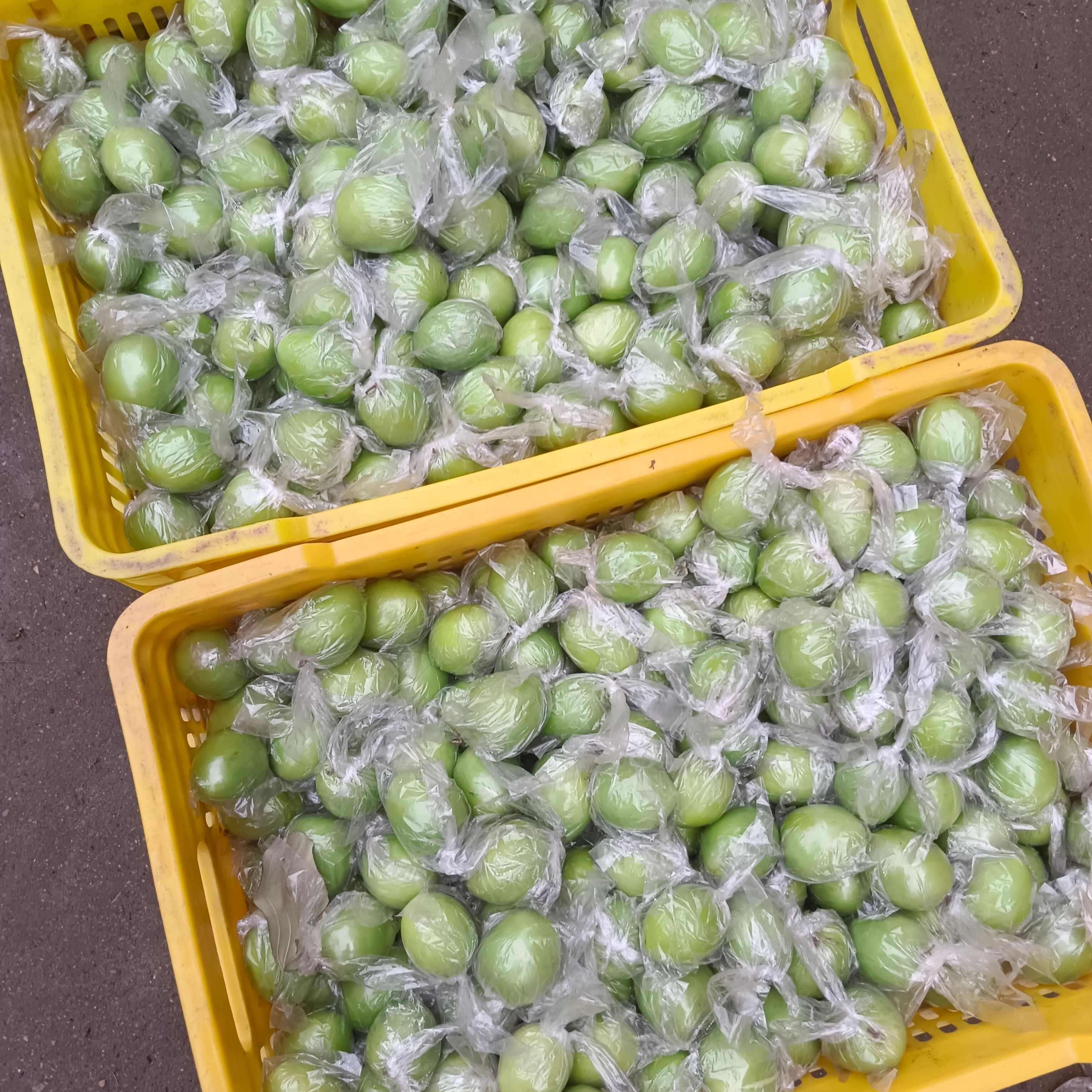 广西青枣牛奶枣大量现货供应，量大价优，对接全国客商，欢迎来电