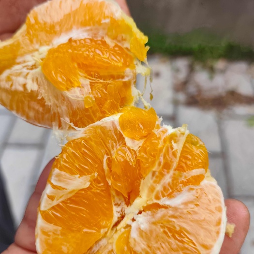 秭归县秭归伦晚 产地直发水分好糖分足，果子个头均匀