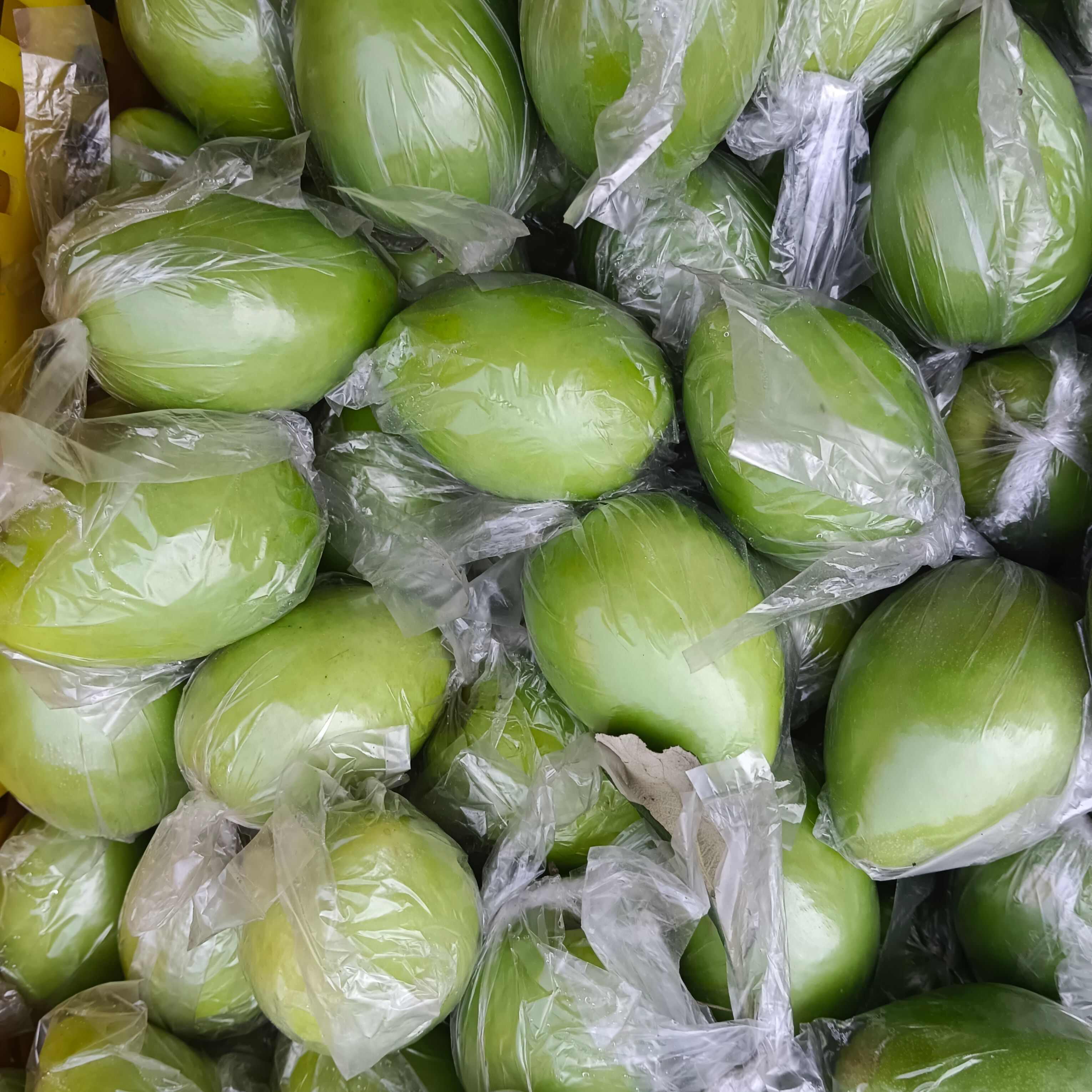 广西青枣牛奶枣大量现货供应，量大价优，对接全国客商，欢迎来电