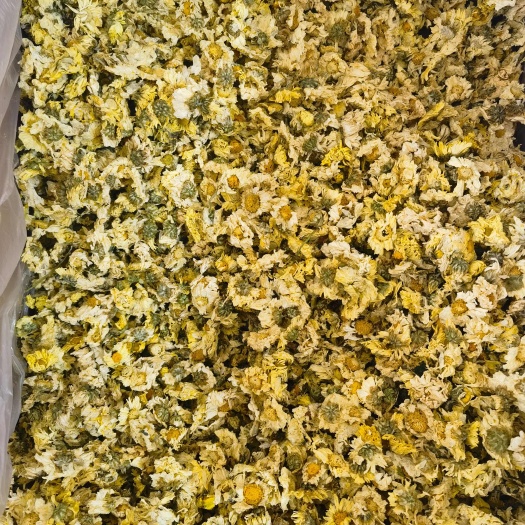 杭菊花 杭白菊 泡茶养生 无硫清香甘