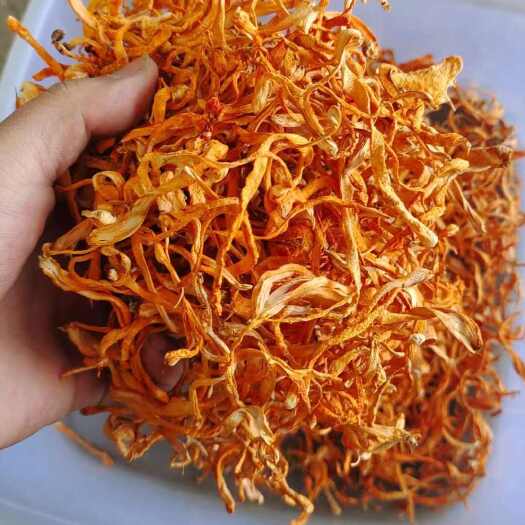 衡东县虫草花/    东北虫草花干货无硫农家新货手选精品食用菌煲汤