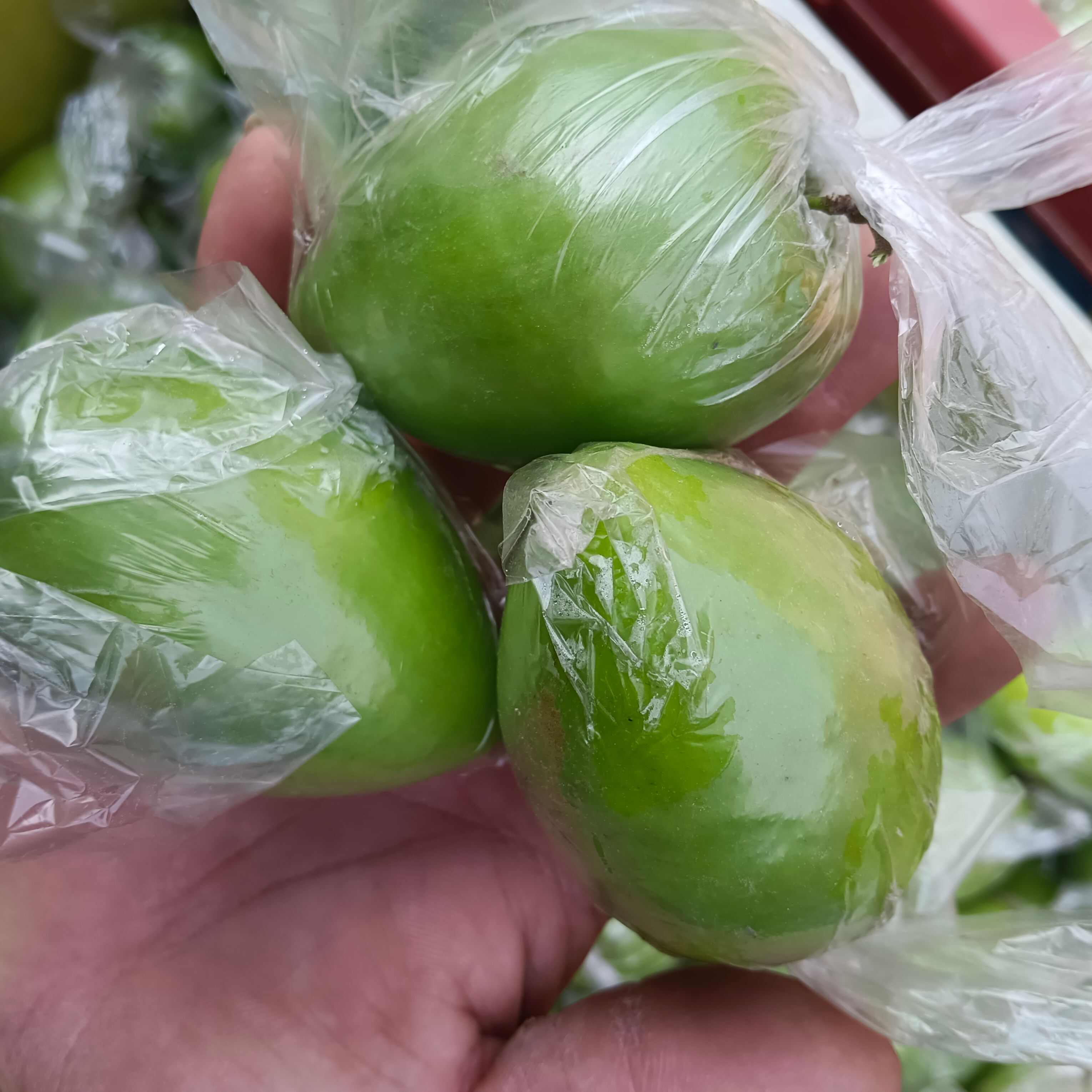 广西青枣牛奶枣大量现货供应，量大价优，对接全国客商，欢迎来电