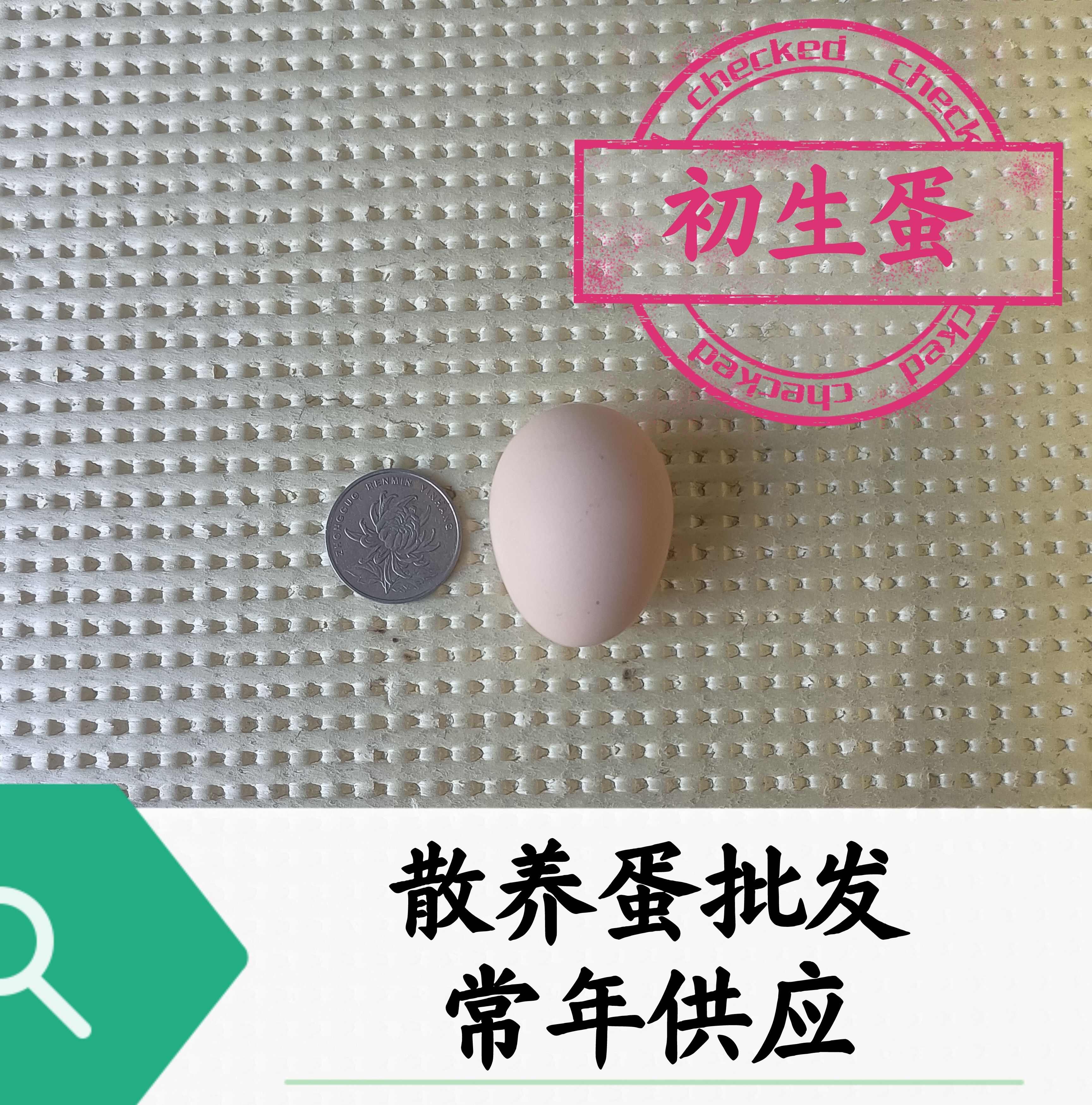 散养初生蛋小鸡蛋旅游蛋双黄蛋大蛋放养包破损全国发货精品蛋保质