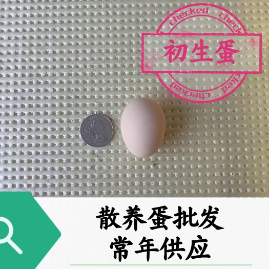 散养初生蛋小鸡蛋旅游蛋双黄蛋大蛋放养包破损全国发货精品蛋保质