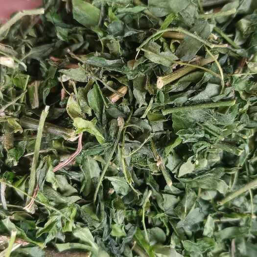 广州优质鸡骨草中药材全草类药材批发零售，茶，相思茶
