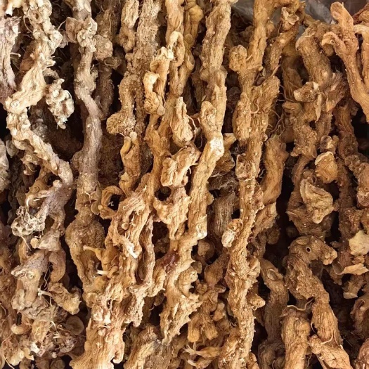 苍南县黄精，黄精干货，黄精条子，黄精干货，九华黄精统货