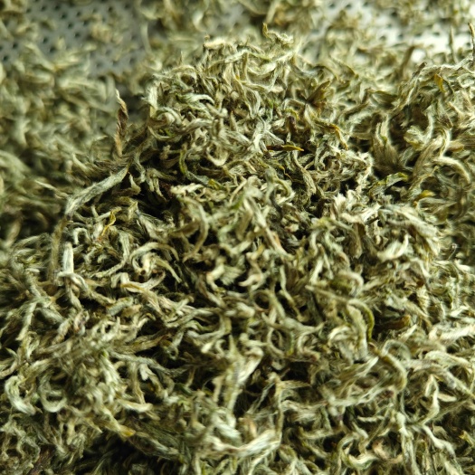 贵定县都匀毛尖
