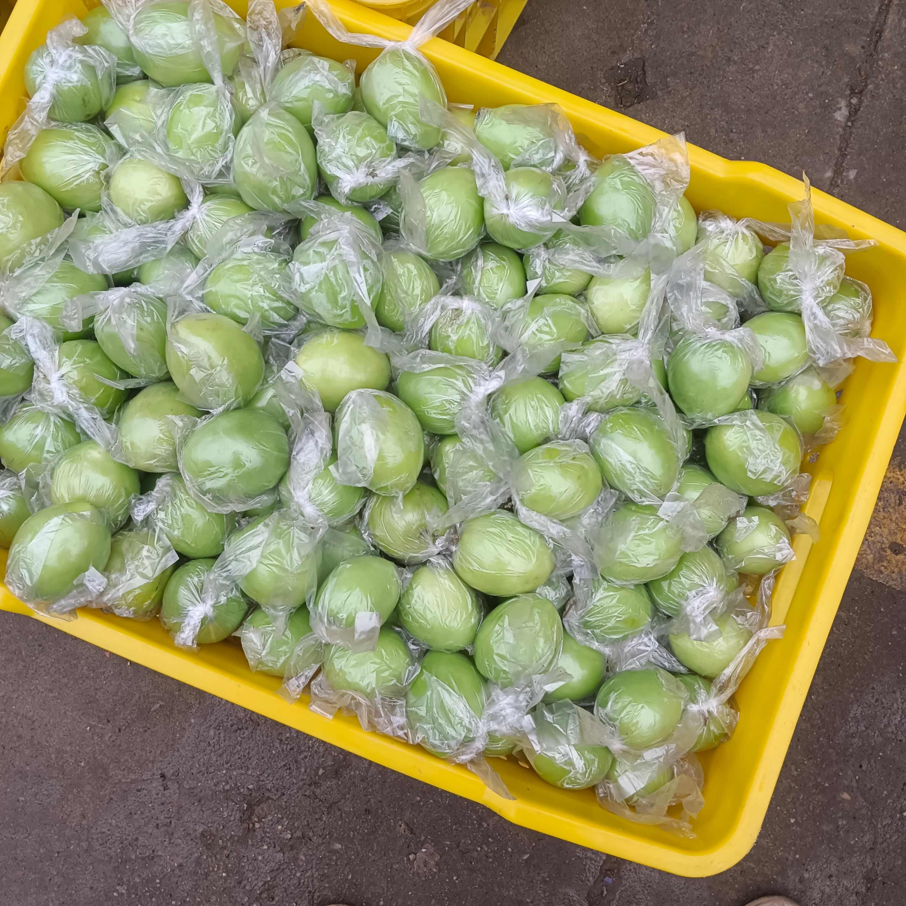 广西青枣牛奶枣大量现货供应，量大价优，对接全国客商，欢迎来电