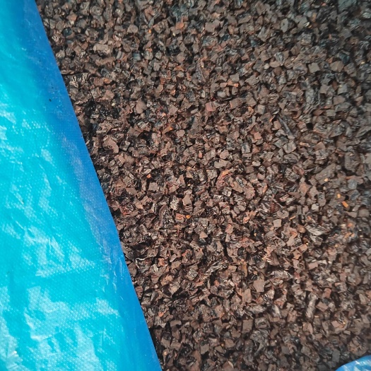 沧县西梅丁，接受定制，质量保证，箱装净重二十斤，一手货源批发零售