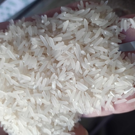 罗定市籼米 软粘