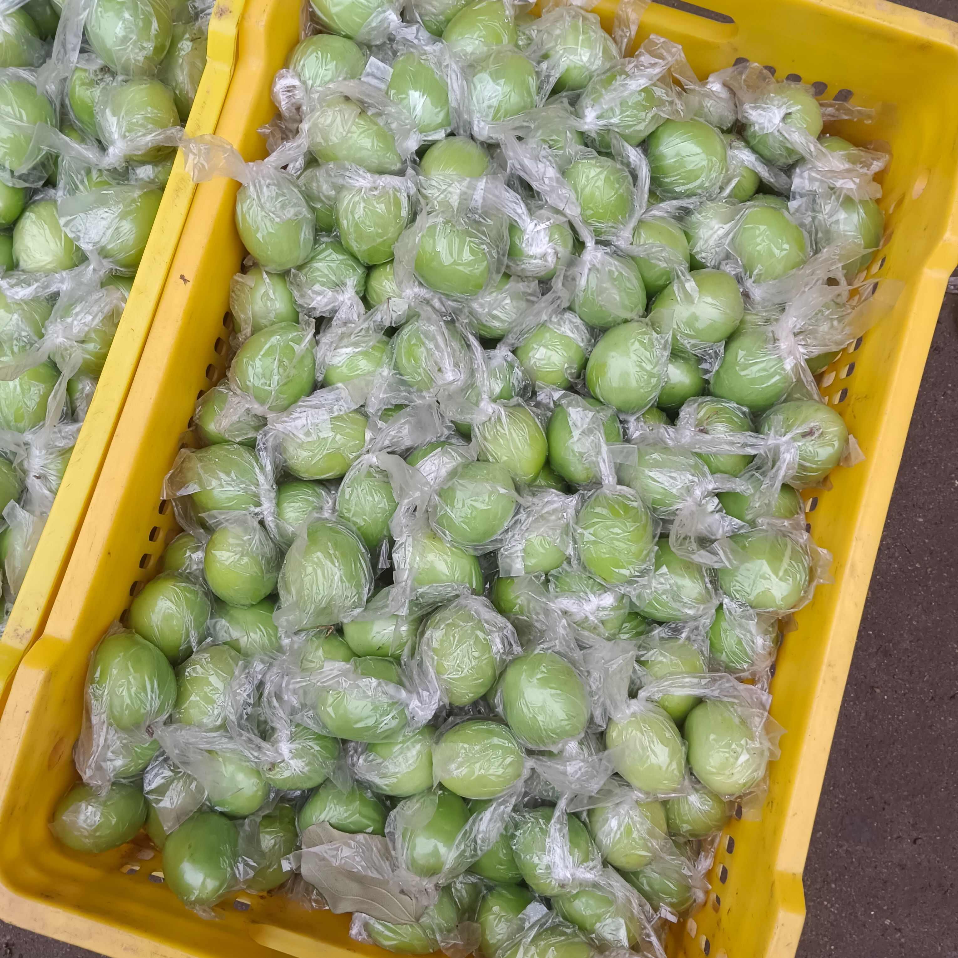 广西青枣牛奶枣大量现货供应，量大价优，对接全国客商，欢迎来电