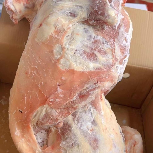 阳信县烤全羊，烤全羊专用羔羊白条羊，规格齐全，内蒙草地羊