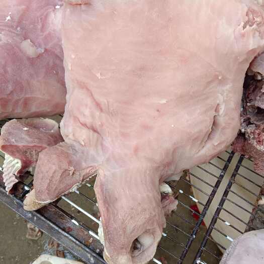 带皮牛头肉