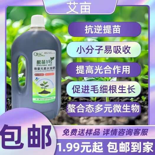 济宁生根绿叶 根苗一号 出苗水