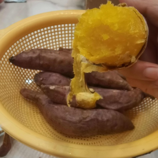河南商丘红薯苗基地正规大基地,品种齐全 品质有保证,适种性强