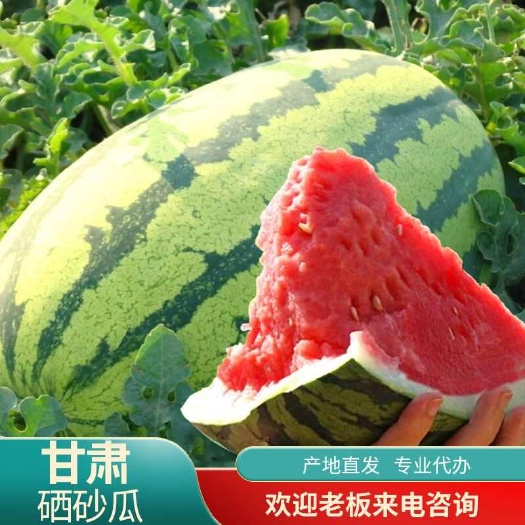 靖远县甘肃硒砂瓜  产地直发   量大优惠     新鲜上市