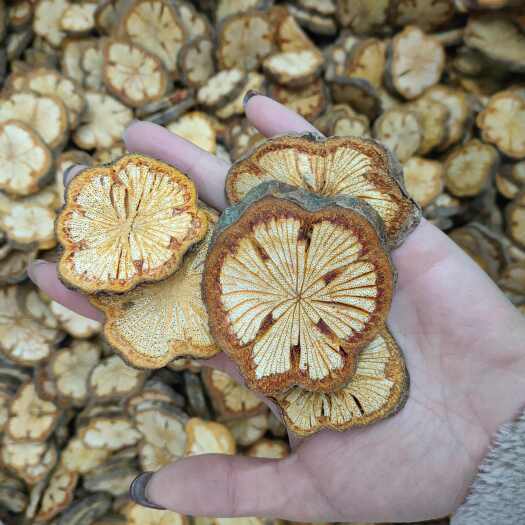 昆明红藤 中片选货