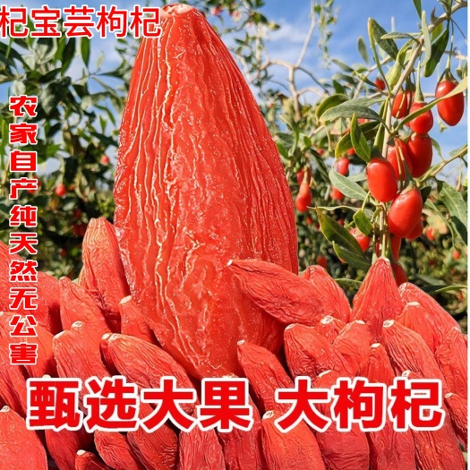 宁夏\靖远县农家特产 红枸杞干果 枸杞批发 高品质农家干货