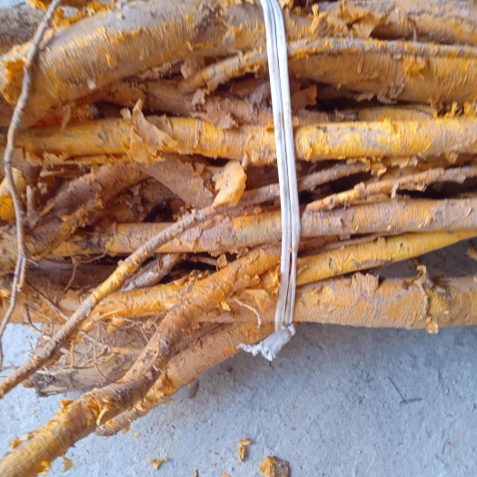 柳州穿破石，九重皮。倒勾软根，生鲜货，50斤起4.5块钱一斤。