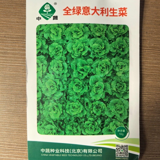 济南意大利生菜种子全绿意大利生菜种子全年耐抽苔意大利生菜种子