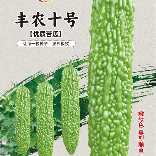 丰农十号，早熟耐低温耐热耐湿肉厚丰产厂家直发品种保证
