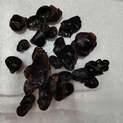 海林市东北黑木耳小碗耳， 0.8规格的，早餐饭店