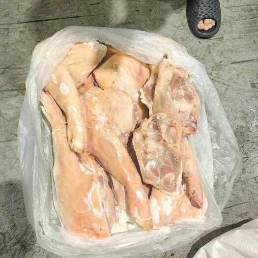 东莞市广东东莞新鲜猪肘批发供应 品质猪副产品优选货源