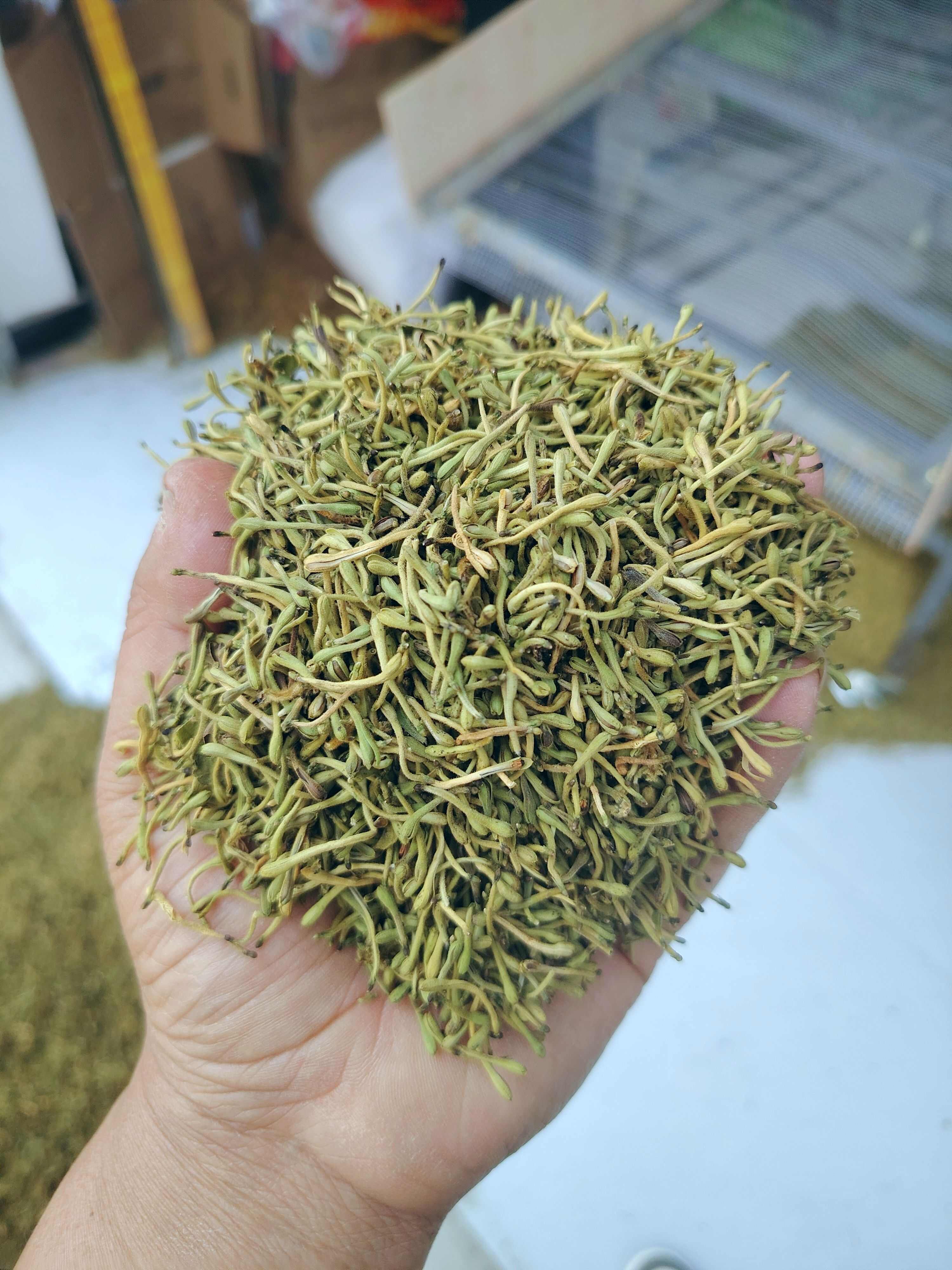 贵州安龙金银花，净花蕾，杂质少颜色清，味道香，自然生晒