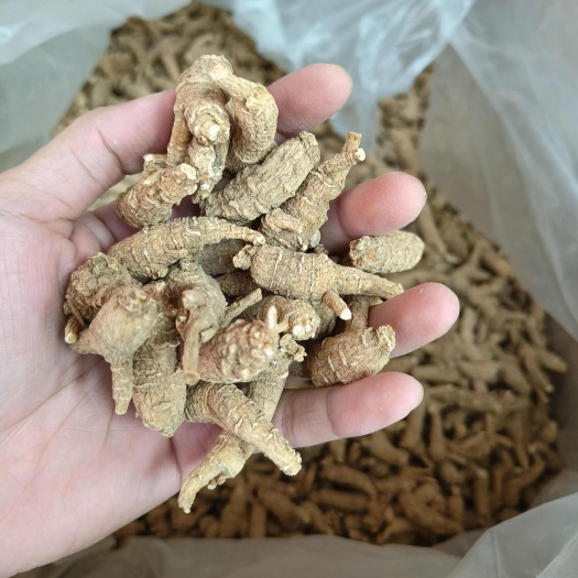 西洋参花旗参原丛1.5g-10g