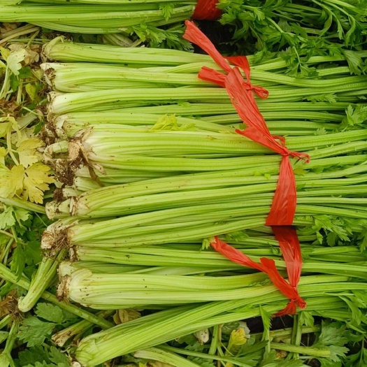 博爱县本次精品蔬菜，质量好