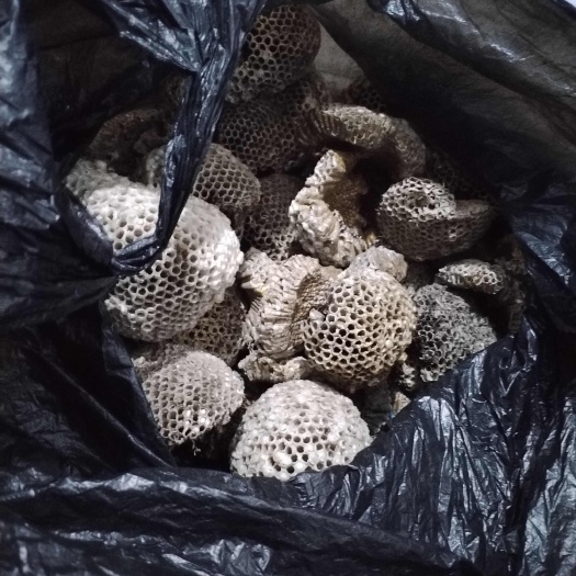 阜新县蜂房，桑螵蛸