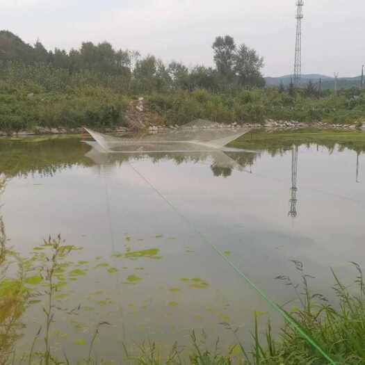 哈尔滨市阿城区设施农业用地