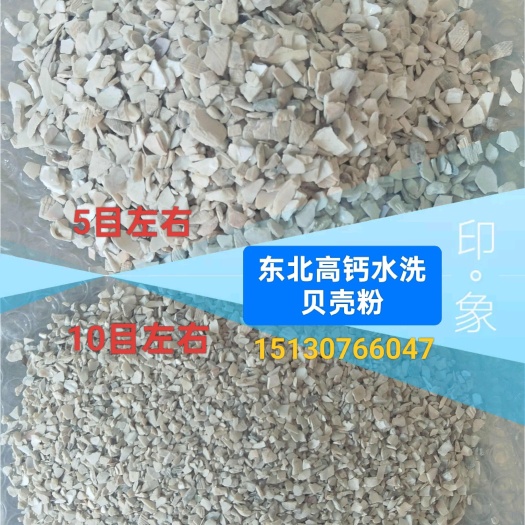 东北高钙水洗贝壳粉，石粉！
