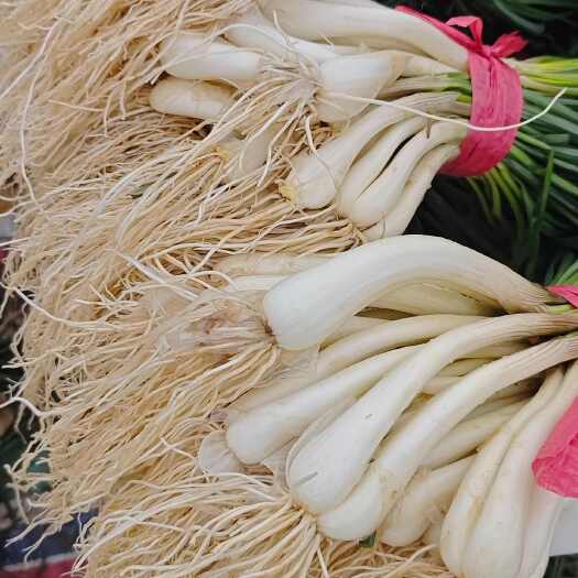 湘潭品相好，量大从优