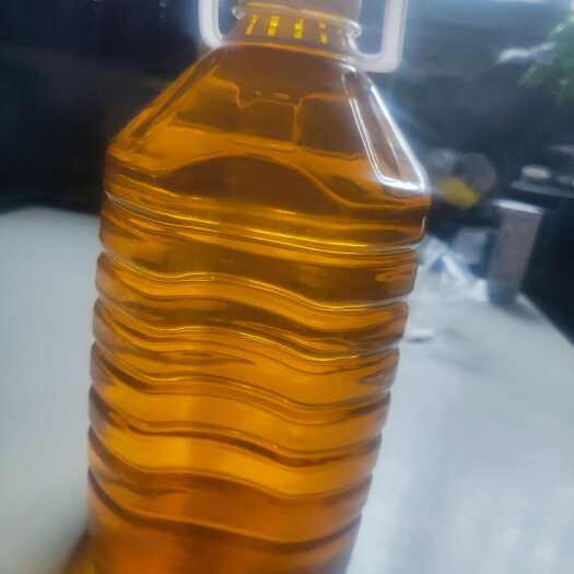 丹江口市湖北武当山农家自榨小茶籽山茶油 ，产地直销可视频看货