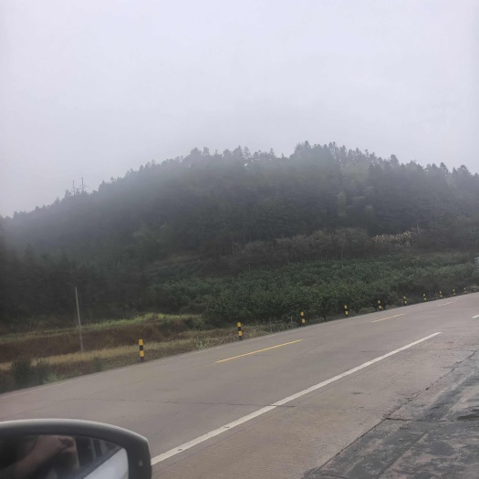 连州市木材