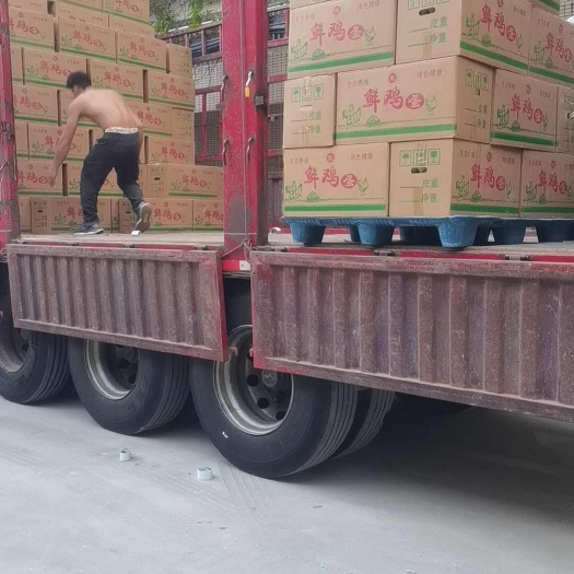 东莞市出售各类鸡蛋，承接鸡蛋加工